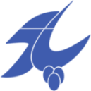 Karo abdullahpour in parscoders